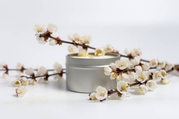 minimalistic candle and blooming branches on white background
